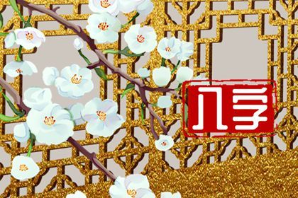 如何阅读一份排盘
