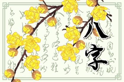 数字化排盘时代