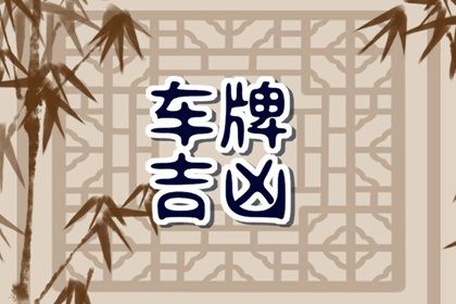 车牌数字解读