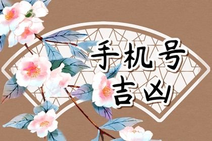 数理分如何理解