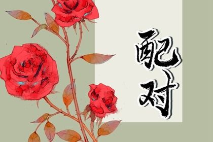 姓名配对在合婚中的位置