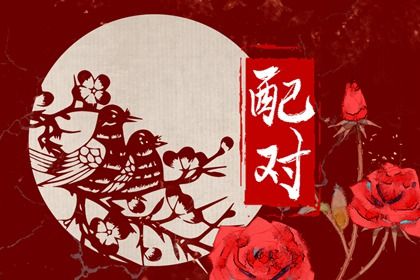 阳干日主的婚恋画像