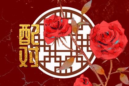 纳音配对：比和、相生与平衡