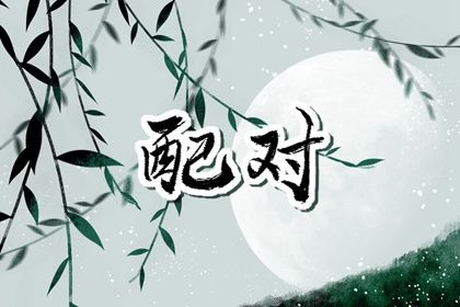 流年合婚：动态视角