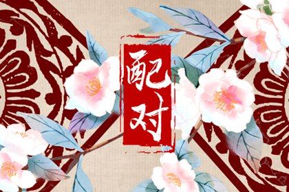 自由恋爱时代的合婚