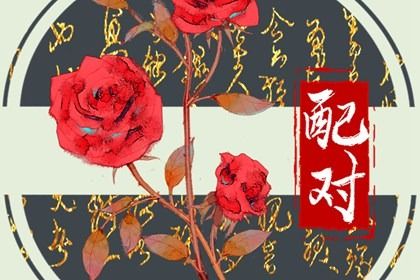 八字测单身姻缘 配对八字 配对免费 紫微看姻缘