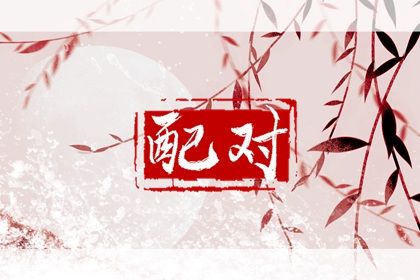 年月日时：婚姻四维