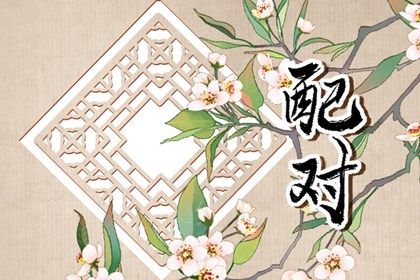 婚配生辰八字|八字查贵人免费|批流年八字|精品八字排盘|八字测名免费