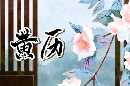 今日九星怎么读