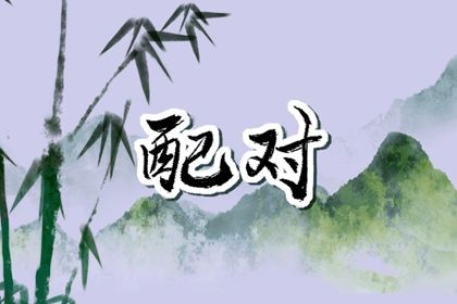 如何读本页结果