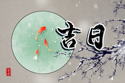 格局查询命盘|命免费紫薇排盘|命盘显示夫妻变动