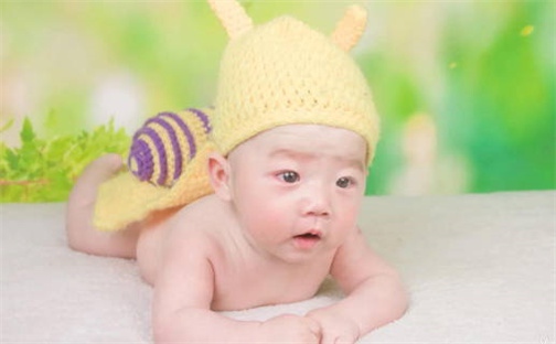 缺什么就补什么吗