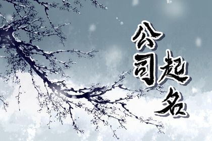 企业名称怎么起