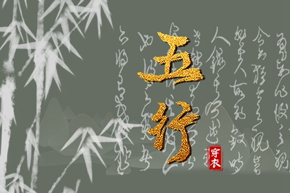 纳音与正五行区别
