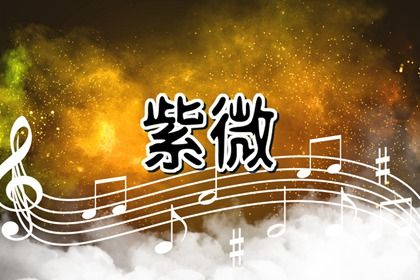在线排盘看什么