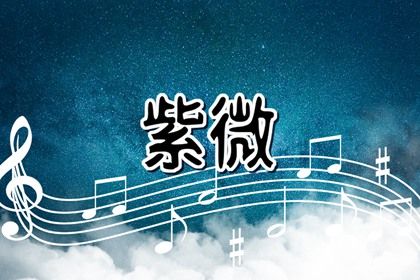紫微斗数是什么