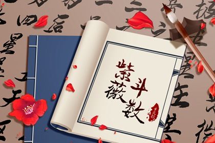 数字化紫微参考用法